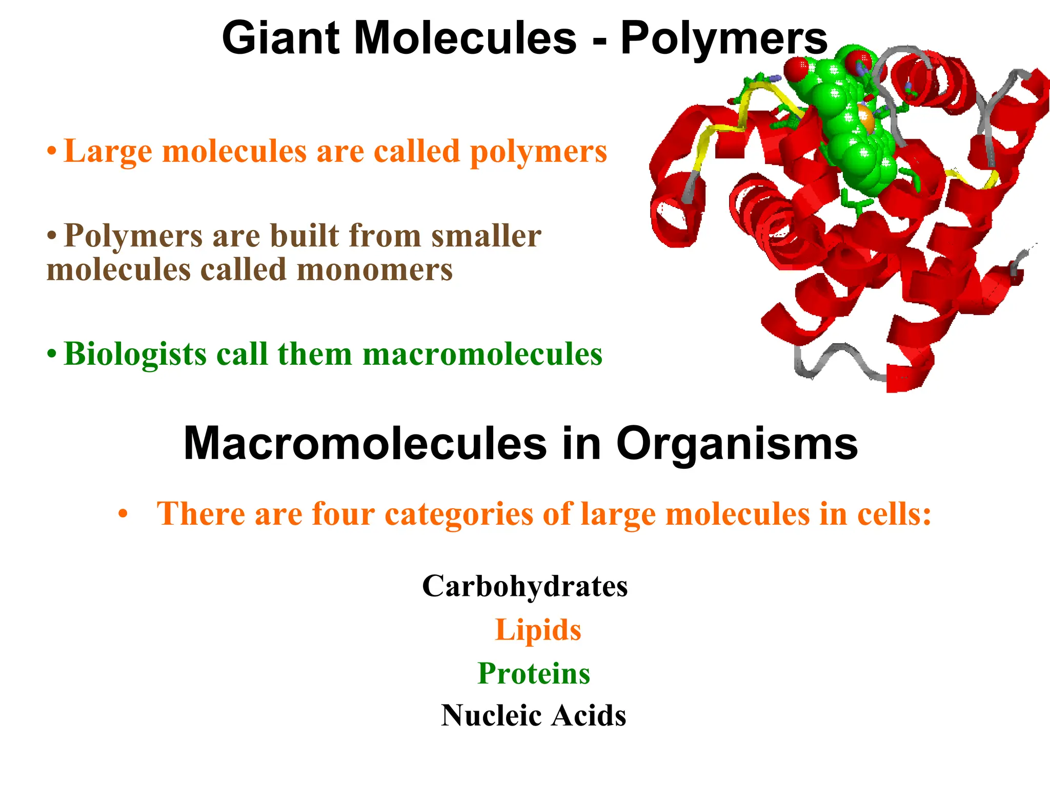 Giant Molecules - Polymers
•Large molecules are called polymers
•Polymers are built from smaller
molecules called monomers
•Biologists call them macromolecules
Macromolecules in Organisms
Carbohydrates
Lipids
Proteins
Nucleic Acids
• There are four categories of large molecules in cells:
 