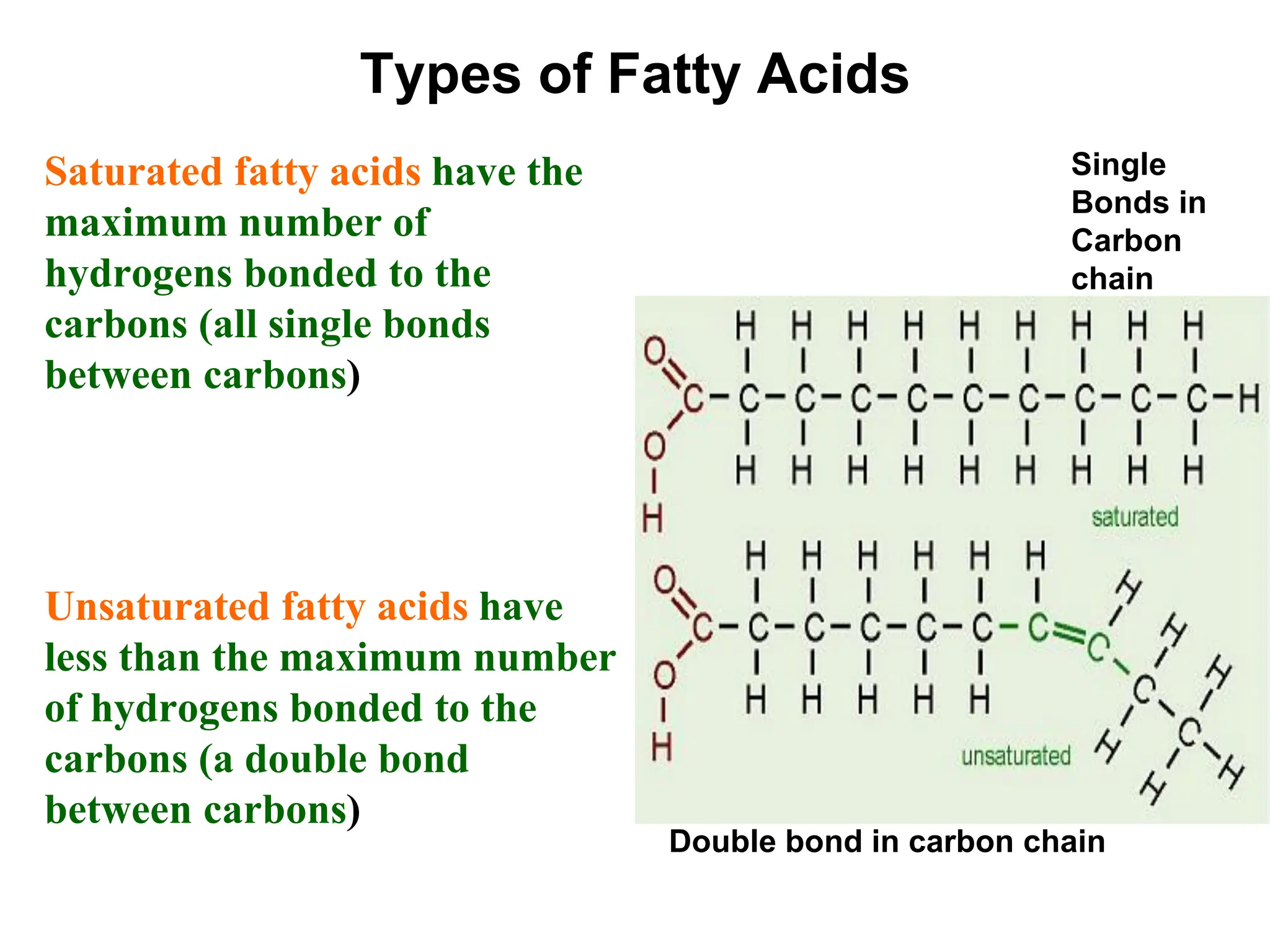 Types of Fatty Acids
Saturated fatty acids have the
maximum number of
hydrogens bonded to the
carbons (all single bonds
between carbons)
Unsaturated fatty acids have
less than the maximum number
of hydrogens bonded to the
carbons (a double bond
between carbons)
Single
Bonds in
Carbon
chain
Double bond in carbon chain
 