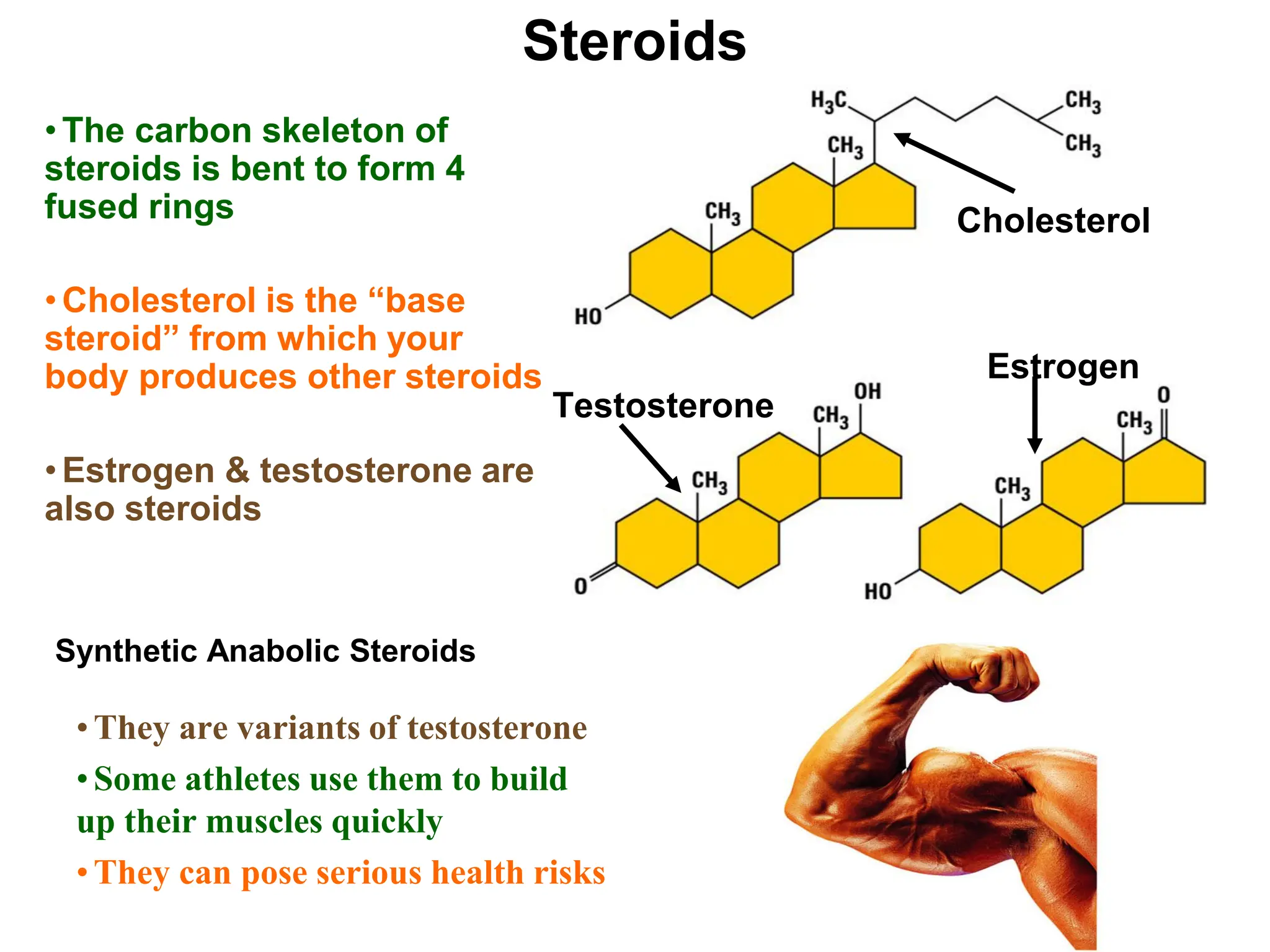 Steroids
•The carbon skeleton of
steroids is bent to form 4
fused rings
•Cholesterol is the “base
steroid” from which your
body produces other steroids
•Estrogen & testosterone are
also steroids
Cholesterol
Testosterone
Estrogen
Synthetic Anabolic Steroids
•They are variants of testosterone
•Some athletes use them to build
up their muscles quickly
•They can pose serious health risks
 