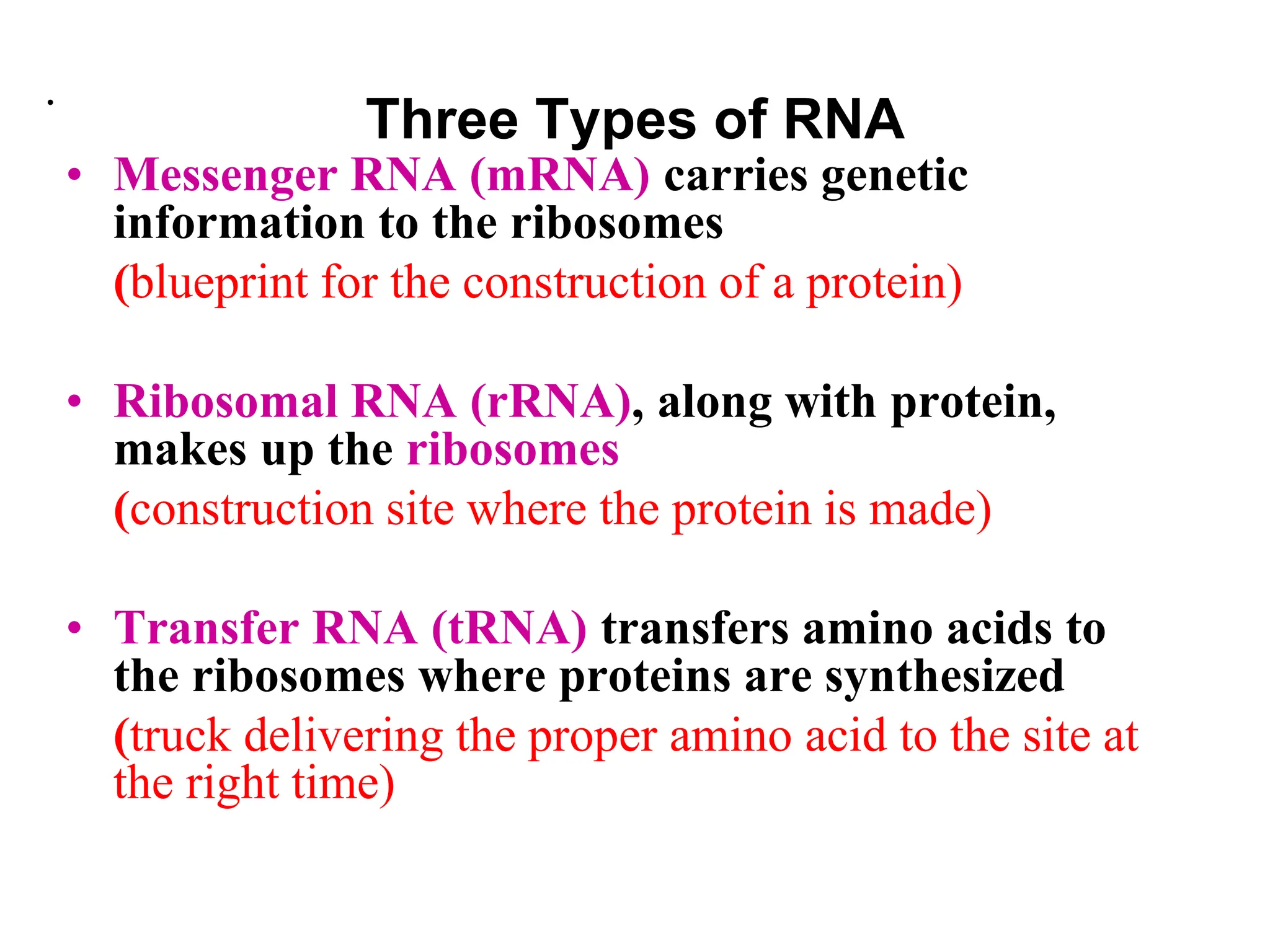 .
Three Types of RNA
• Messenger RNA (mRNA) carries genetic
information to the ribosomes
(blueprint for the construction of a protein)
• Ribosomal RNA (rRNA), along with protein,
makes up the ribosomes
(construction site where the protein is made)
• Transfer RNA (tRNA) transfers amino acids to
the ribosomes where proteins are synthesized
(truck delivering the proper amino acid to the site at
the right time)
 
