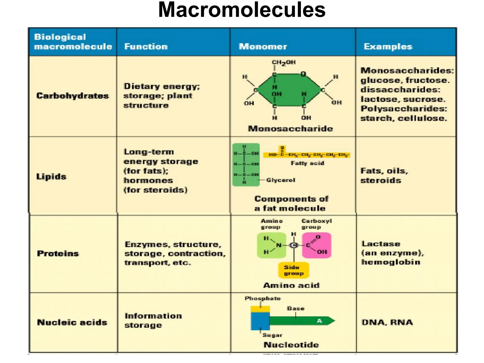 Macromolecules
 