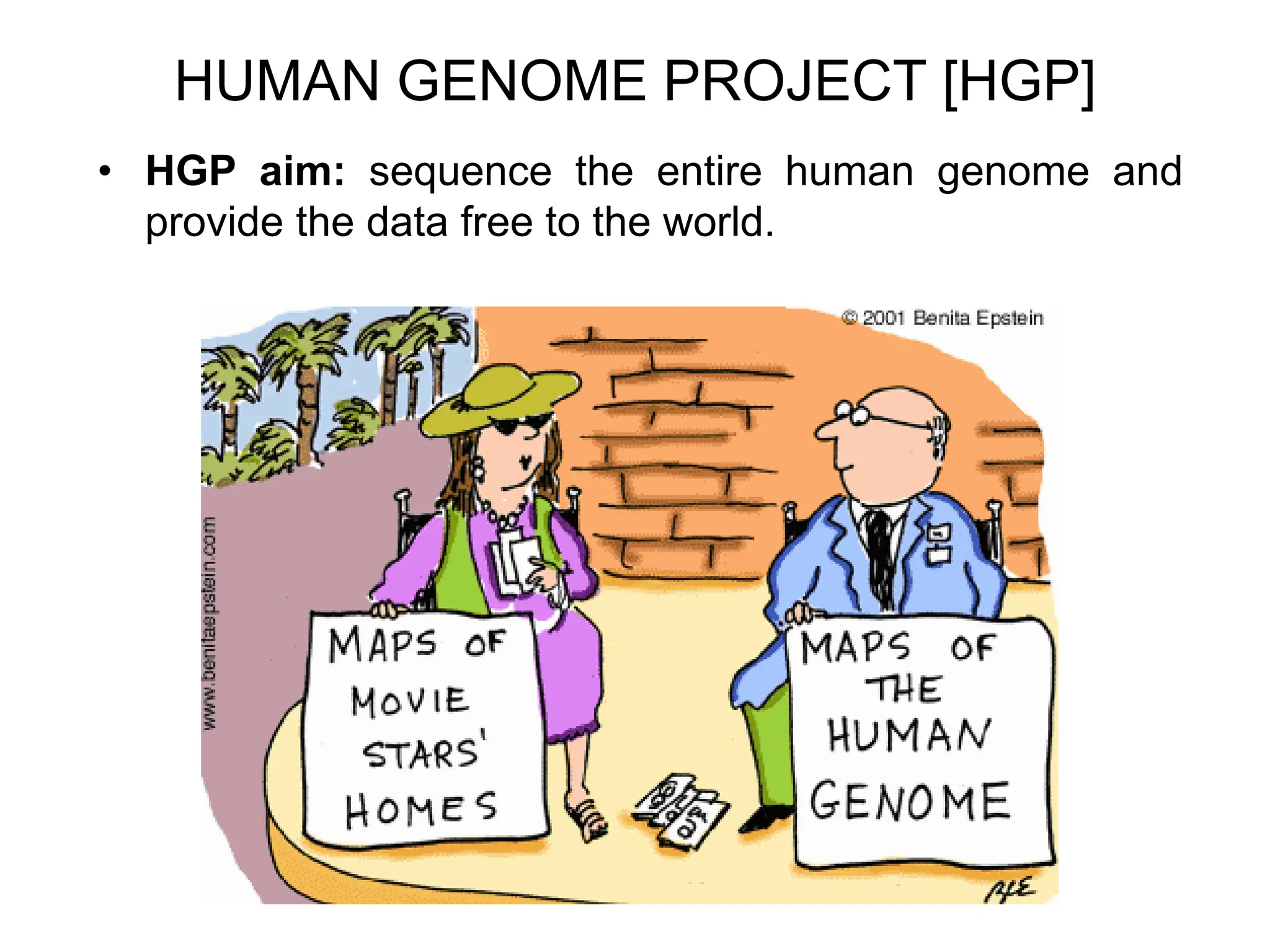 HUMAN GENOME PROJECT [HGP]
• HGP aim: sequence the entire human genome and
provide the data free to the world.
 