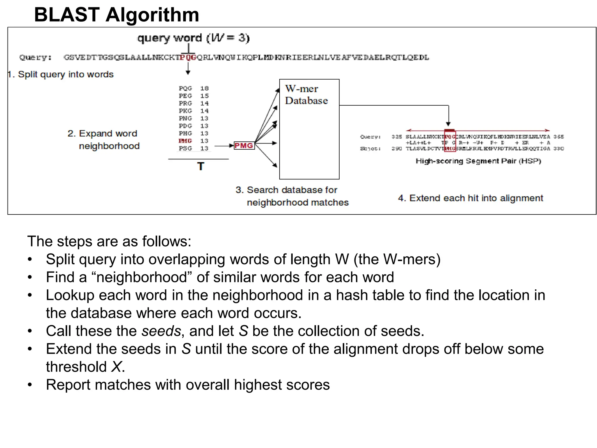 BLAST Algorithm
The steps are as follows:
• Split query into overlapping words of length W (the W-mers)
• Find a “neighborhood” of similar words for each word
• Lookup each word in the neighborhood in a hash table to find the location in
the database where each word occurs.
• Call these the seeds, and let S be the collection of seeds.
• Extend the seeds in S until the score of the alignment drops off below some
threshold X.
• Report matches with overall highest scores
 