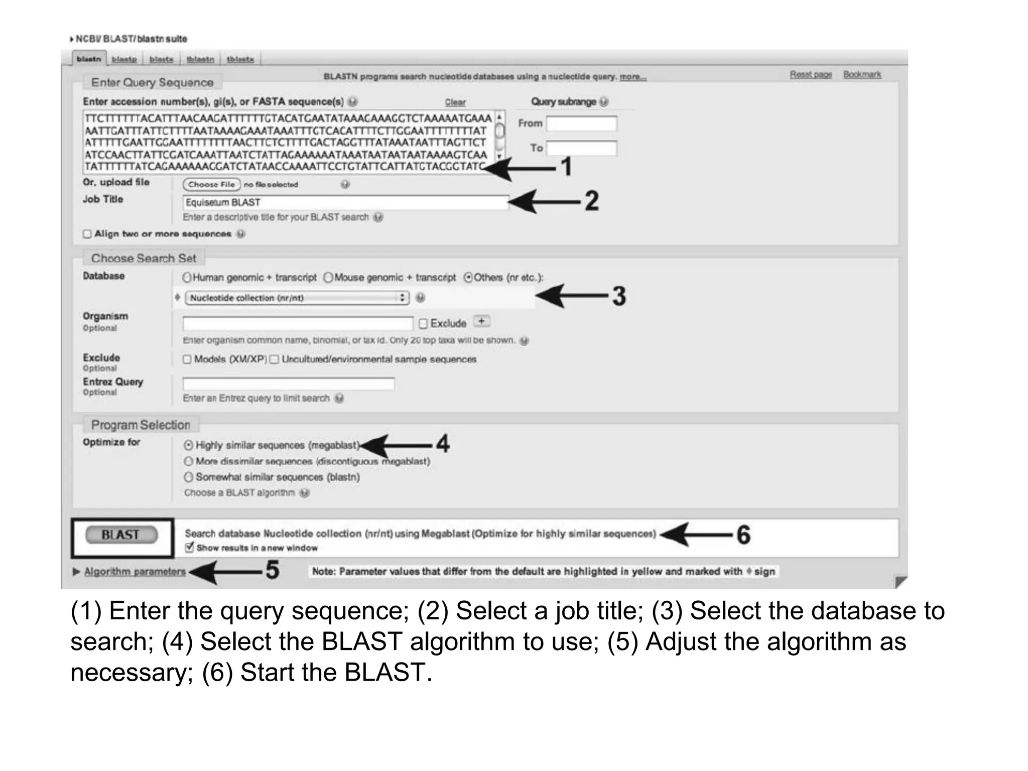 (1) Enter the query sequence; (2) Select a job title; (3) Select the database to
search; (4) Select the BLAST algorithm to use; (5) Adjust the algorithm as
necessary; (6) Start the BLAST.
 