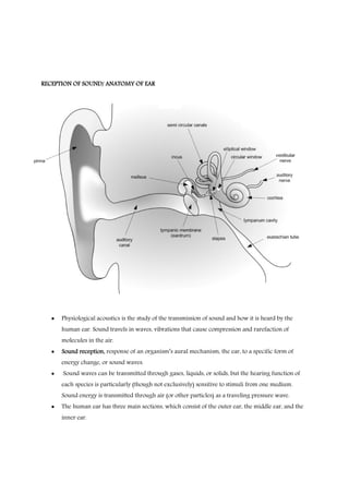 Introduction and Theory of Sound: Fundamentals, Propagation, and Human ...