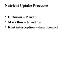 Root Interception Unit2_Plant-Environment Interactions.pptx