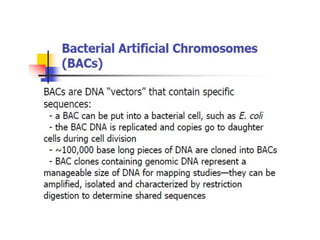 Comprehensive Overview of Human Genome Project and DNA Sequencing ...