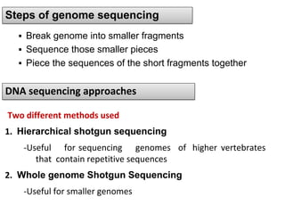Comprehensive Overview of Human Genome Project and DNA Sequencing ...