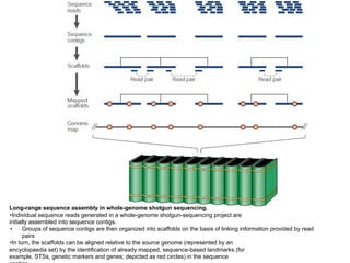Comprehensive Overview of Human Genome Project and DNA Sequencing ...