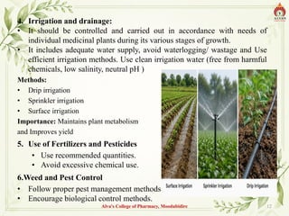 4. Irrigation and drainage:
• It should be controlled and carried out in accordance with needs of
individual medicinal plants during its various stages of growth.
• It includes adequate water supply, avoid waterlogging/ wastage and Use
efficient irrigation methods. Use clean irrigation water (free from harmful
chemicals, low salinity, neutral pH )
Methods:
• Drip irrigation
• Sprinkler irrigation
• Surface irrigation
Importance: Maintains plant metabolism
and Improves yield
5. Use of Fertilizers and Pesticides
• Use recommended quantities.
• Avoid excessive chemical use.
6.Weed and Pest Control
• Follow proper pest management methods..
• Encourage biological control methods.
Alva's College of Pharmacy, Moodubidire 12
 
