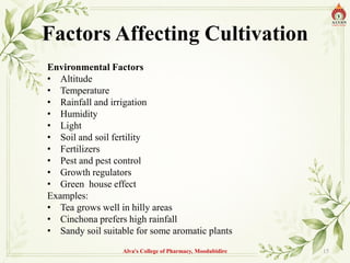 Factors Affecting Cultivation
Environmental Factors
• Altitude
• Temperature
• Rainfall and irrigation
• Humidity
• Light
• Soil and soil fertility
• Fertilizers
• Pest and pest control
• Growth regulators
• Green house effect
Examples:
• Tea grows well in hilly areas
• Cinchona prefers high rainfall
• Sandy soil suitable for some aromatic plants
Alva's College of Pharmacy, Moodubidire 15
 