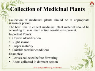 Collection of Medicinal Plants
Collection of medicinal plants should be at appropriate
season or period.
The best time to collect medicinal plant material should be
according to maximum active constituents present.
Important Points:
• Correct identification
• Right season
• Proper maturity
• Suitable weather conditions
Examples:
• Leaves collected before flowering
• Roots collected in dormant season
Alva's College of Pharmacy, Moodubidire 28
 