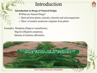 Introduction
Introduction to Drugs of Natural Origin
What are Natural Drugs?
– Derived from plants, animals, minerals and microorganisms
– Most of modern medicines originate from plants
Examples: Morphine (Papaver somniferum),
Digoxin (Digitalis purpurea),
Quinine (Cinchona officinalis)
Alva's College of Pharmacy, Moodubidire 3
 