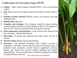 Cultivation of Curcuma longa (GCP)
1. Climate : Warm, humid tropical climate(20-30℃) with well distribute
rainfall.
2. Soil: Sandy loams rich in organic matter and uniform in texture (pH 4.5-
7.5).
3. Selection of plant material: Healthy, disease free rhizomes with high
yielding variety.
4. Planting time: May-June
5. Irrigation and drainage: First irrigation should be before planting
second irrigation should be just after planting in field. 25-30 irrigation at
intervals of 7-10 days is required during entire period of growth.
6. Plant maintenance and protection : using fertilizers like farmyard and
pest controllers, maintain field hygiene.
7. Harvesting: 7-8 months after planting leaves turns yellow and dry on
maturity.
8. Post harvesting: Boiling, drying and polishing.
9. Personnel : All personnel (including field workers) involved in
propagation, cultivation, harvest and post harvest processing stages of
medicinal plant production should maintain appropriate personnel
hygiene and should have received training regarding their hygiene
responsibilities. Growers and producers should have adequate knowledge
of medicinal plant concerned. Alva's College of Pharmacy, Moodubidire 39
 