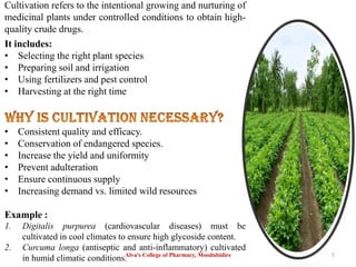 Cultivation refers to the intentional growing and nurturing of
medicinal plants under controlled conditions to obtain high-
quality crude drugs.
It includes:
• Selecting the right plant species
• Preparing soil and irrigation
• Using fertilizers and pest control
• Harvesting at the right time
• Consistent quality and efficacy.
• Conservation of endangered species.
• Increase the yield and uniformity
• Prevent adulteration
• Ensure continuous supply
• Increasing demand vs. limited wild resources
Example :
1. Digitalis purpurea (cardiovascular diseases) must be
cultivated in cool climates to ensure high glycoside content.
2. Curcuma longa (antiseptic and anti-inflammatory) cultivated
in humid climatic conditions.
Alva's College of Pharmacy, Moodubidire 5
 