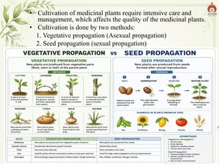 • Cultivation of medicinal plants require intensive care and
management, which affects the quality of the medicinal plants.
• Cultivation is done by two methods:
1. Vegetative propagation (Asexual propagation)
2. Seed propagation (sexual propagation)
Alva's College of Pharmacy, Moodubidire 6
 