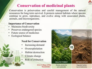 Alva's College of Pharmacy,
Moodubidire
3
Conservation of medicinal plants
Conservation is préservation and careful management of the natural
ressources for long term survival. It protects natural habitats where species
continue to grow, reproduce, and evolve along with associated plants,
animals, and microorganisms.
Need for Conservation
• Increasing demand
• Overexploitation
• Habitat destruction
• Climate change
• Risk of extinction
Importance of Conservation
• Maintains biodiversity
• Preserves endangered species
• Future source of medicines
• Ecological balance
 