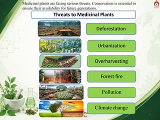 Threats to Medicinal Plants
Deforestation
Urbanization
Overharvesting
Forest fire
Alva's College of Pharmacy,
Moodubidire
7
Pollution
Climate change
Medicinal plants are facing serious threats. Conservation is essential to
ensure their availability for future generations.
 