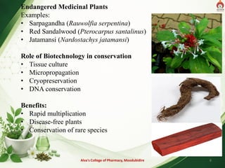 Endangered Medicinal Plants
Examples:
• Sarpagandha (Rauwolfia serpentina)
• Red Sandalwood (Pterocarpus santalinus)
• Jatamansi (Nardostachys jatamansi)
Role of Biotechnology in conservation
• Tissue culture
• Micropropagation
• Cryopreservation
• DNA conservation
Benefits:
• Rapid multiplication
• Disease-free plants
• Conservation of rare species
Alva's College of Pharmacy, Moodubidire 8
 