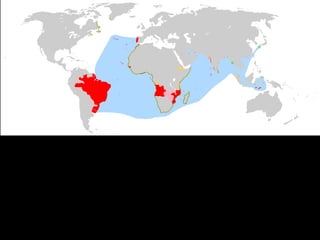 Unit 2 -age of exploration maps only | PPT