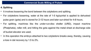 Commercial Scale Milling of Pulses
4. Splitting
• It involves loosening the bond between the cotyledons and splitting.
• For cotyledons loosening, water at the rate of 1-5 kg/quintal is applied to dehusked
pulse grain (gota) and is stored for 2-12 hours and later sun-dried for 4-8 hours.
• For splitting, machines like the under-run-disc sheller (URD), impact machine
(Phatphatia), roller mill, and hitting the gota against the metal sheet at discharge side
of bucket elevator are used.
• In this operation the embryo attached to two cotyledons breaks away, thereby, causing
a loss in dal recovery by 1.5 to 2%.
 