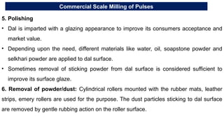 Commercial Scale Milling of Pulses
5. Polishing
• Dal is imparted with a glazing appearance to improve its consumers acceptance and
market value.
• Depending upon the need, different materials like water, oil, soapstone powder and
selkhari powder are applied to dal surface.
• Sometimes removal of sticking powder from dal surface is considered sufficient to
improve its surface glaze.
6. Removal of powder/dust: Cylindrical rollers mounted with the rubber mats, leather
strips, emery rollers are used for the purpose. The dust particles sticking to dal surface
are removed by gentle rubbing action on the roller surface.
 
