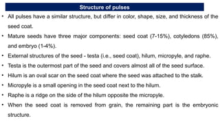 Structure of pulses
• All pulses have a similar structure, but differ in color, shape, size, and thickness of the
seed coat.
• Mature seeds have three major components: seed coat (7-15%), cotyledons (85%),
and embryo (1-4%).
• External structures of the seed - testa (i.e., seed coat), hilum, micropyle, and raphe.
• Testa is the outermost part of the seed and covers almost all of the seed surface.
• Hilum is an oval scar on the seed coat where the seed was attached to the stalk.
• Micropyle is a small opening in the seed coat next to the hilum.
• Raphe is a ridge on the side of the hilum opposite the micropyle.
• When the seed coat is removed from grain, the remaining part is the embryonic
structure.
 