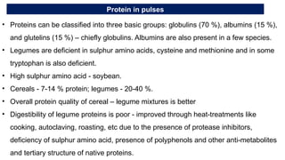 Protein in pulses
• Proteins can be classified into three basic groups: globulins (70 %), albumins (15 %),
and glutelins (15 %) – chiefly globulins. Albumins are also present in a few species.
• Legumes are deficient in sulphur amino acids, cysteine and methionine and in some
tryptophan is also deficient.
• High sulphur amino acid - soybean.
• Cereals - 7-14 % protein; legumes - 20-40 %.
• Overall protein quality of cereal – legume mixtures is better
• Digestibility of legume proteins is poor - improved through heat-treatments like
cooking, autoclaving, roasting, etc due to the presence of protease inhibitors,
deficiency of sulphur amino acid, presence of polyphenols and other anti-metabolites
and tertiary structure of native proteins.
 
