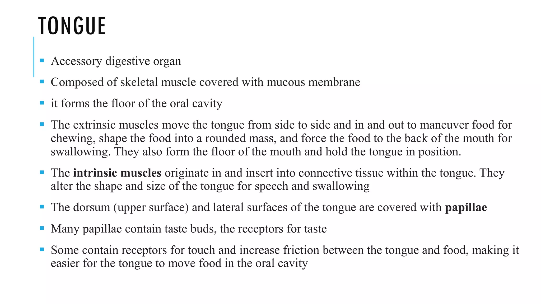 TONGUE
▪ Accessory digestive organ
▪ Composed of skeletal muscle covered with mucous membrane
▪ it forms the floor of the oral cavity
▪ The extrinsic muscles move the tongue from side to side and in and out to maneuver food for
chewing, shape the food into a rounded mass, and force the food to the back of the mouth for
swallowing. They also form the floor of the mouth and hold the tongue in position.
▪ The intrinsic muscles originate in and insert into connective tissue within the tongue. They
alter the shape and size of the tongue for speech and swallowing
▪ The dorsum (upper surface) and lateral surfaces of the tongue are covered with papillae
▪ Many papillae contain taste buds, the receptors for taste
▪ Some contain receptors for touch and increase friction between the tongue and food, making it
easier for the tongue to move food in the oral cavity
 