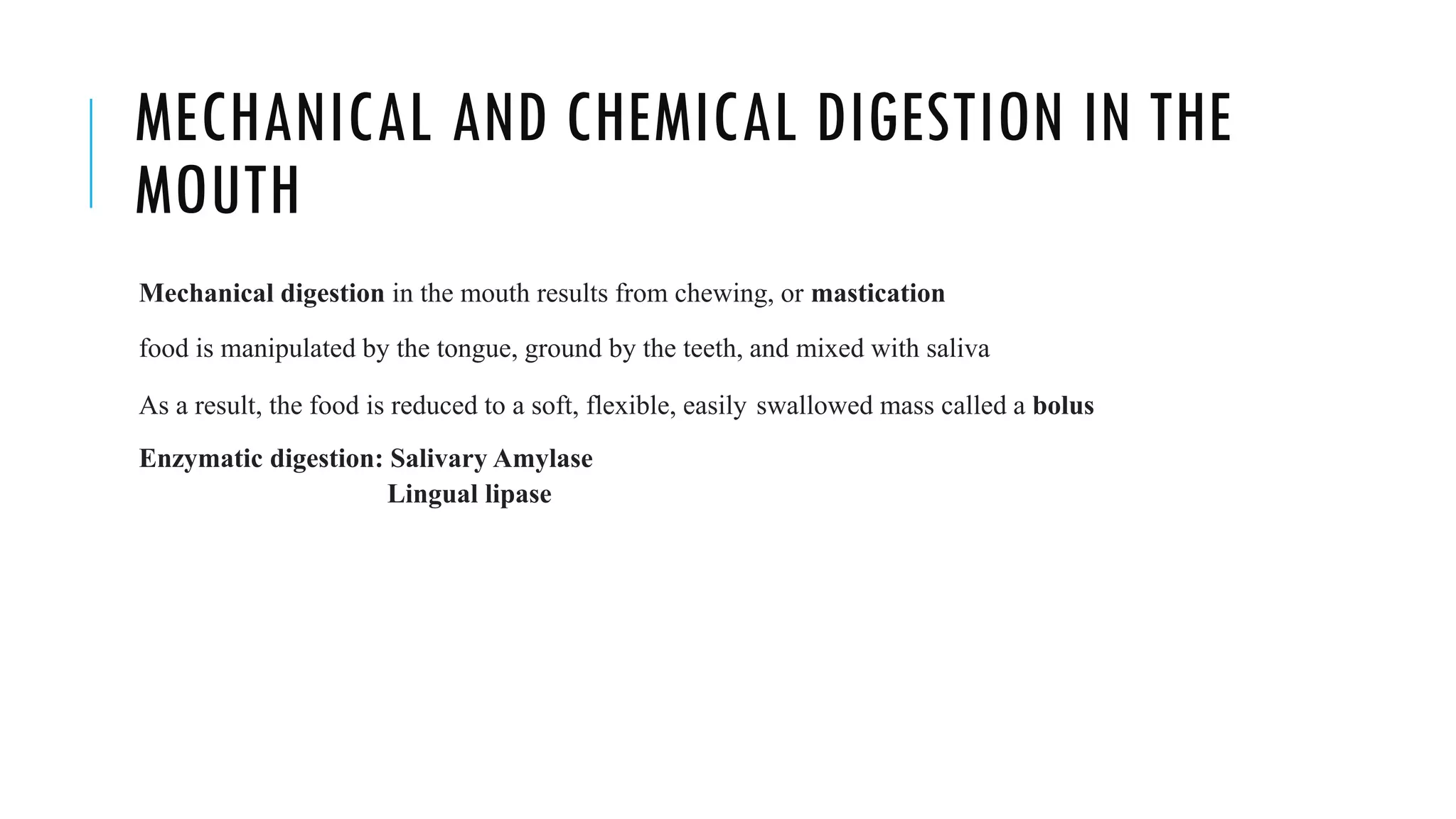 MECHANICAL AND CHEMICAL DIGESTION IN THE
MOUTH
Mechanical digestion in the mouth results from chewing, or mastication
food is manipulated by the tongue, ground by the teeth, and mixed with saliva
As a result, the food is reduced to a soft, flexible, easily swallowed mass called a bolus
Enzymatic digestion: Salivary Amylase
Lingual lipase
 