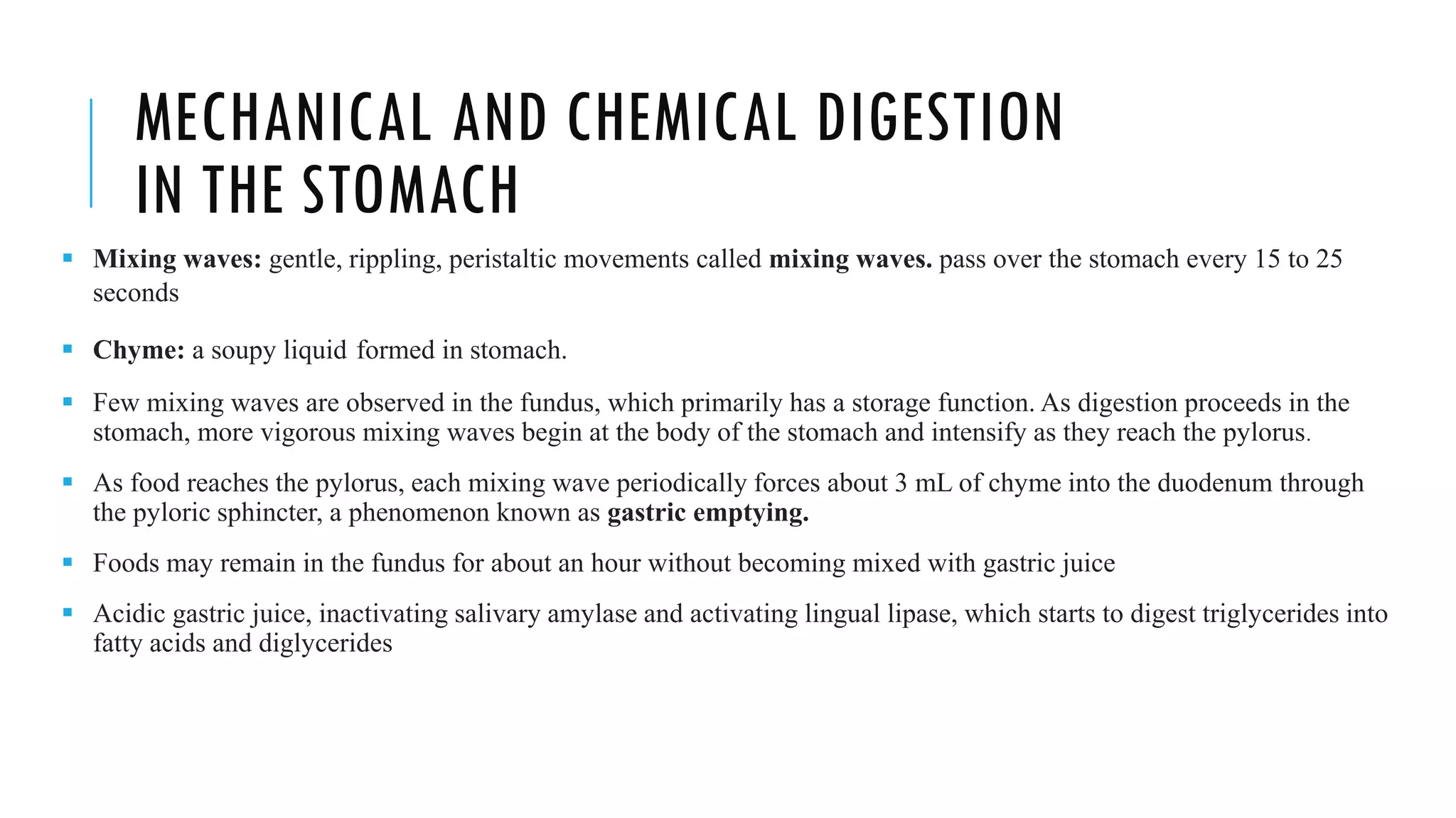 MECHANICAL AND CHEMICAL DIGESTION
IN THE STOMACH
▪ Mixing waves: gentle, rippling, peristaltic movements called mixing waves. pass over the stomach every 15 to 25
seconds
▪ Chyme: a soupy liquid formed in stomach.
▪ Few mixing waves are observed in the fundus, which primarily has a storage function. As digestion proceeds in the
stomach, more vigorous mixing waves begin at the body of the stomach and intensify as they reach the pylorus.
▪ As food reaches the pylorus, each mixing wave periodically forces about 3 mL of chyme into the duodenum through
the pyloric sphincter, a phenomenon known as gastric emptying.
▪ Foods may remain in the fundus for about an hour without becoming mixed with gastric juice
▪ Acidic gastric juice, inactivating salivary amylase and activating lingual lipase, which starts to digest triglycerides into
fatty acids and diglycerides
 