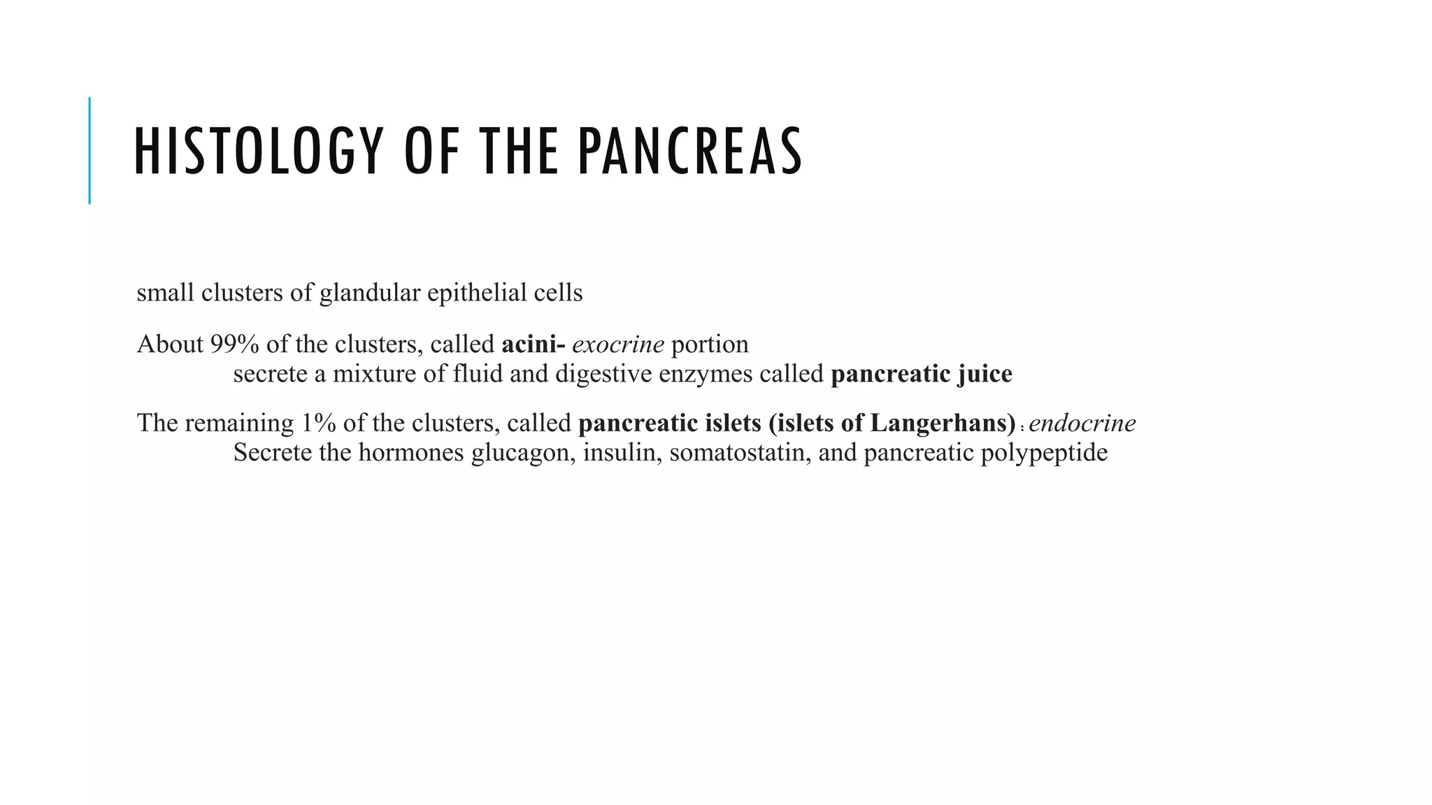 HISTOLOGY OF THE PANCREAS
small clusters of glandular epithelial cells
About 99% of the clusters, called acini- exocrine portion
secrete a mixture of fluid and digestive enzymes called pancreatic juice
The remaining 1% of the clusters, called pancreatic islets (islets of Langerhans) : endocrine
Secrete the hormones glucagon, insulin, somatostatin, and pancreatic polypeptide
 