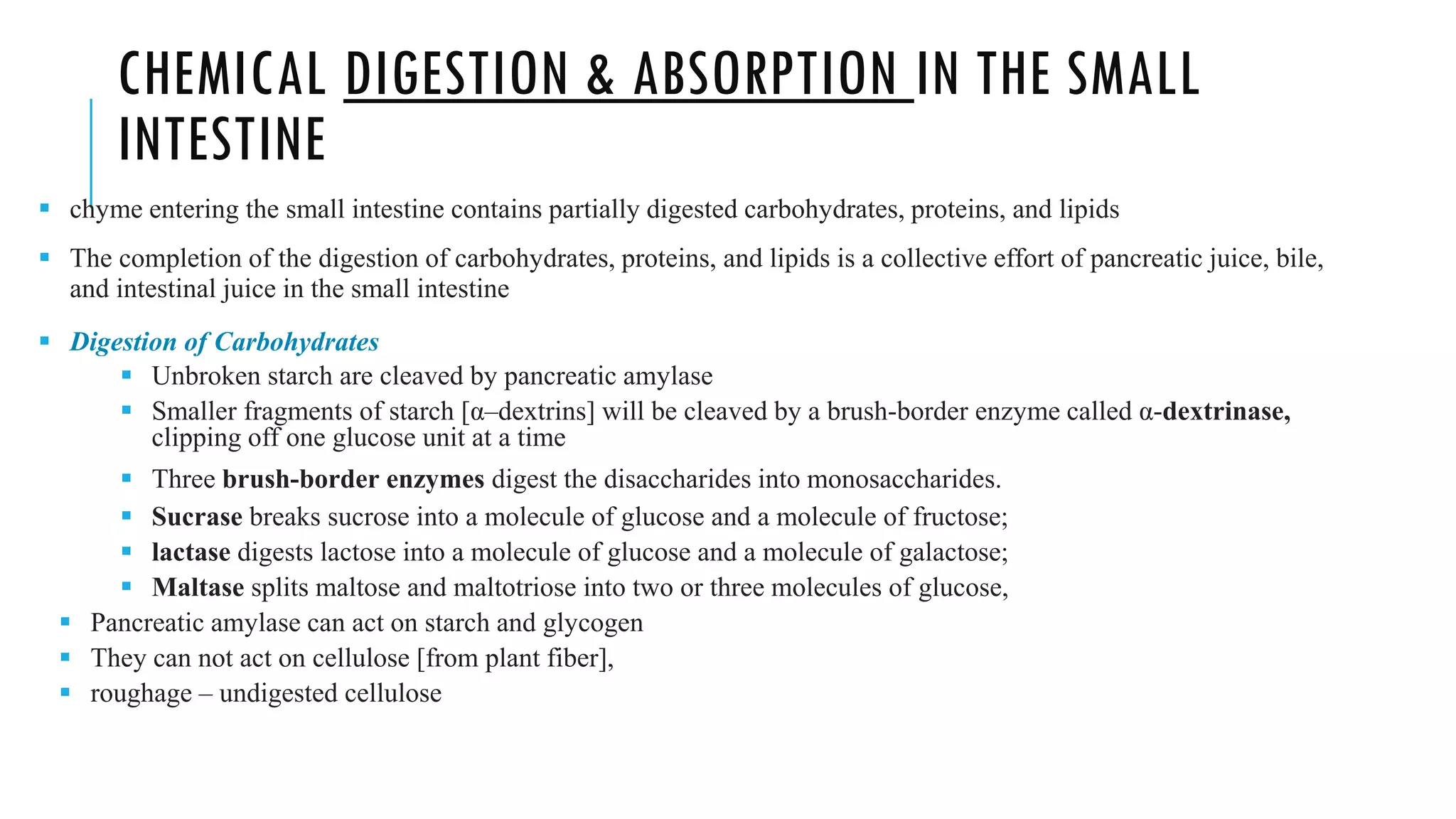 CHEMICAL DIGESTION & ABSORPTION IN THE SMALL
INTESTINE
▪ chyme entering the small intestine contains partially digested carbohydrates, proteins, and lipids
▪ The completion of the digestion of carbohydrates, proteins, and lipids is a collective effort of pancreatic juice, bile,
and intestinal juice in the small intestine
▪ Digestion of Carbohydrates
▪ Unbroken starch are cleaved by pancreatic amylase
▪ Smaller fragments of starch [α–dextrins] will be cleaved by a brush-border enzyme called α-dextrinase,
clipping off one glucose unit at a time
▪ Three brush-border enzymes digest the disaccharides into monosaccharides.
▪ Sucrase breaks sucrose into a molecule of glucose and a molecule of fructose;
▪ lactase digests lactose into a molecule of glucose and a molecule of galactose;
▪ Maltase splits maltose and maltotriose into two or three molecules of glucose,
▪ Pancreatic amylase can act on starch and glycogen
▪ They can not act on cellulose [from plant fiber],
▪ roughage – undigested cellulose
 