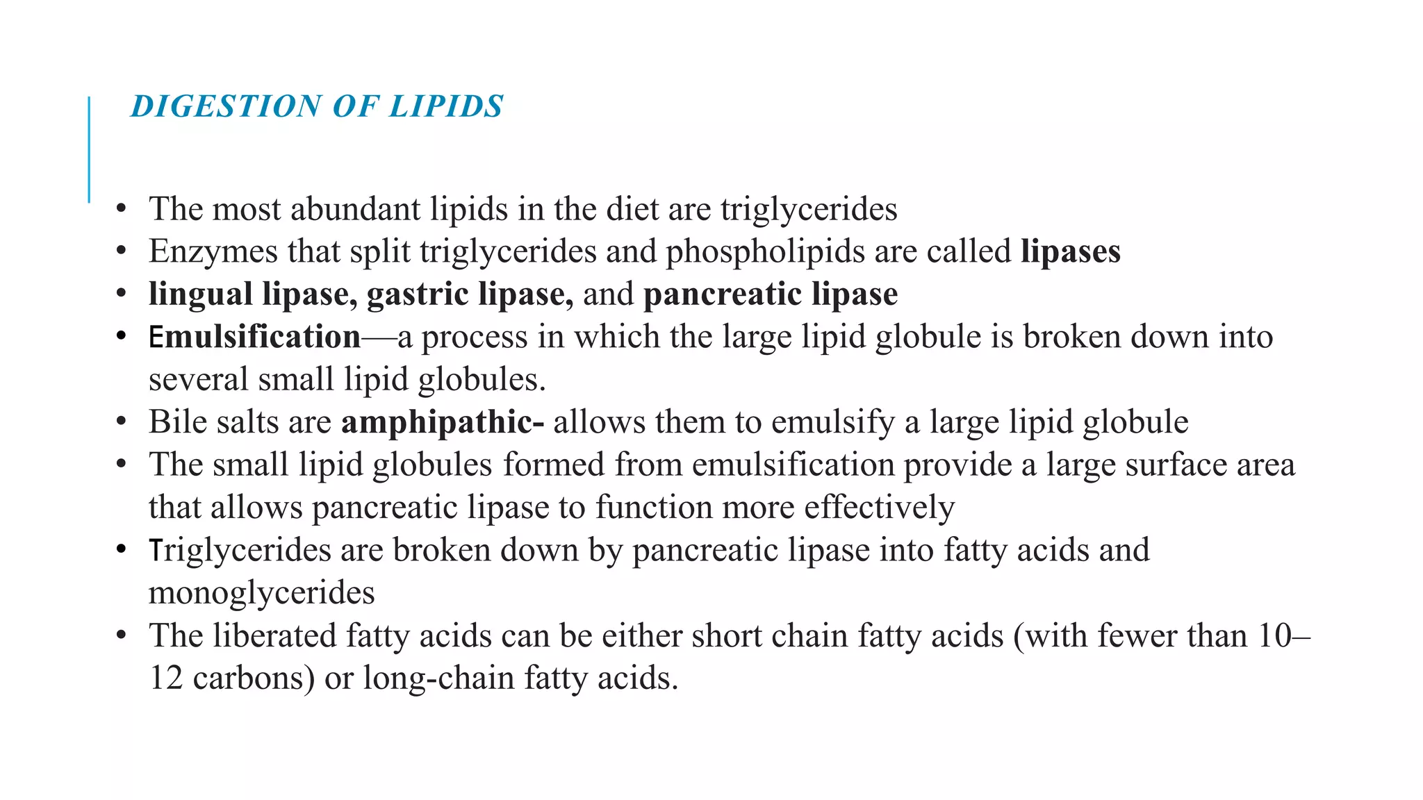 • The most abundant lipids in the diet are triglycerides
• Enzymes that split triglycerides and phospholipids are called lipases
• lingual lipase, gastric lipase, and pancreatic lipase
• Emulsification—a process in which the large lipid globule is broken down into
several small lipid globules.
• Bile salts are amphipathic- allows them to emulsify a large lipid globule
• The small lipid globules formed from emulsification provide a large surface area
that allows pancreatic lipase to function more effectively
• Triglycerides are broken down by pancreatic lipase into fatty acids and
monoglycerides
• The liberated fatty acids can be either short chain fatty acids (with fewer than 10–
12 carbons) or long-chain fatty acids.
DIGESTION OF LIPIDS
 
