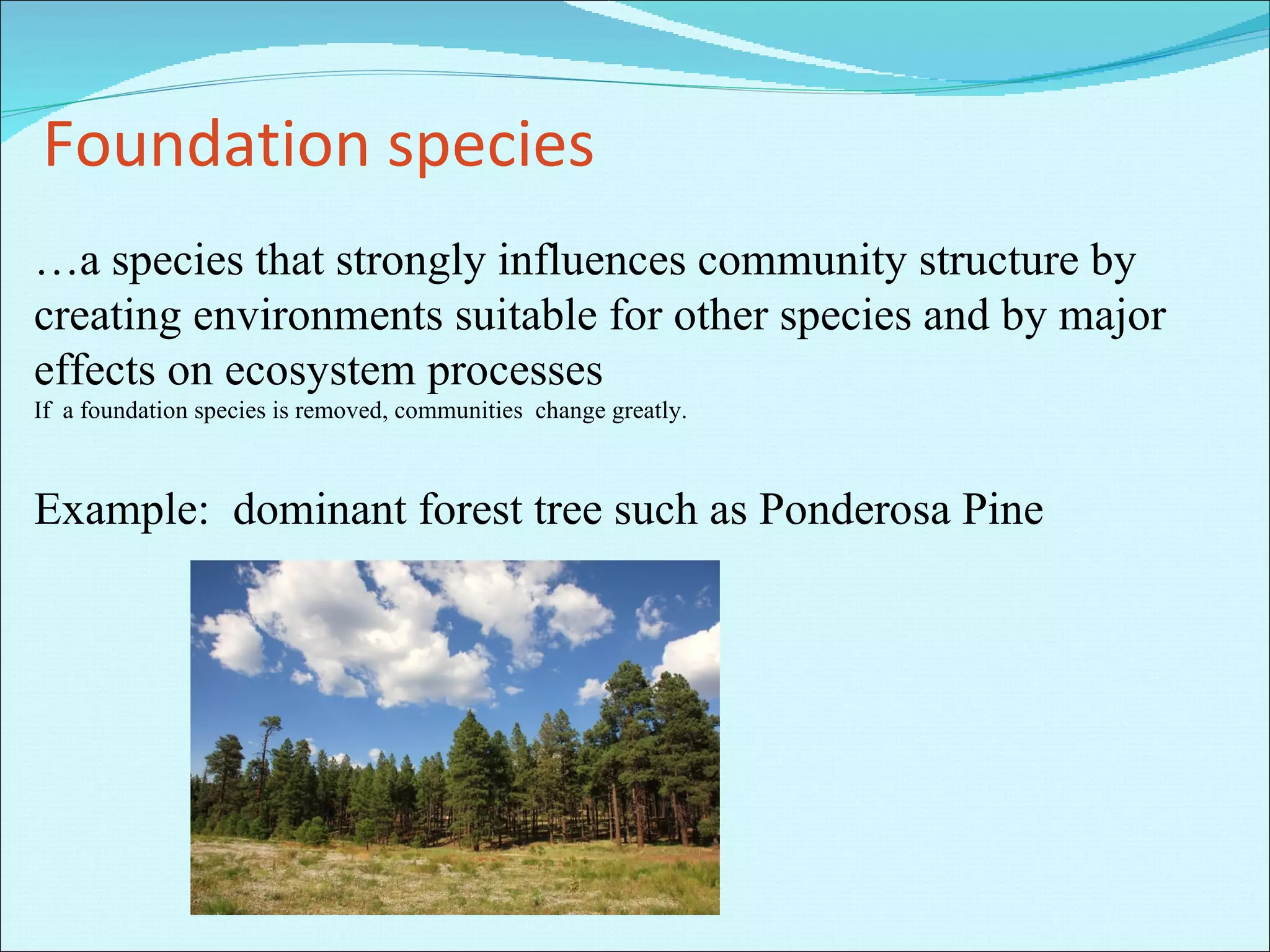 Foundation species … a species that strongly influences community structure by creating environments suitable for other species and by major effects on ecosystem processes If  a foundation species is removed, communities  change greatly. Example:  dominant forest tree such as Ponderosa Pine 