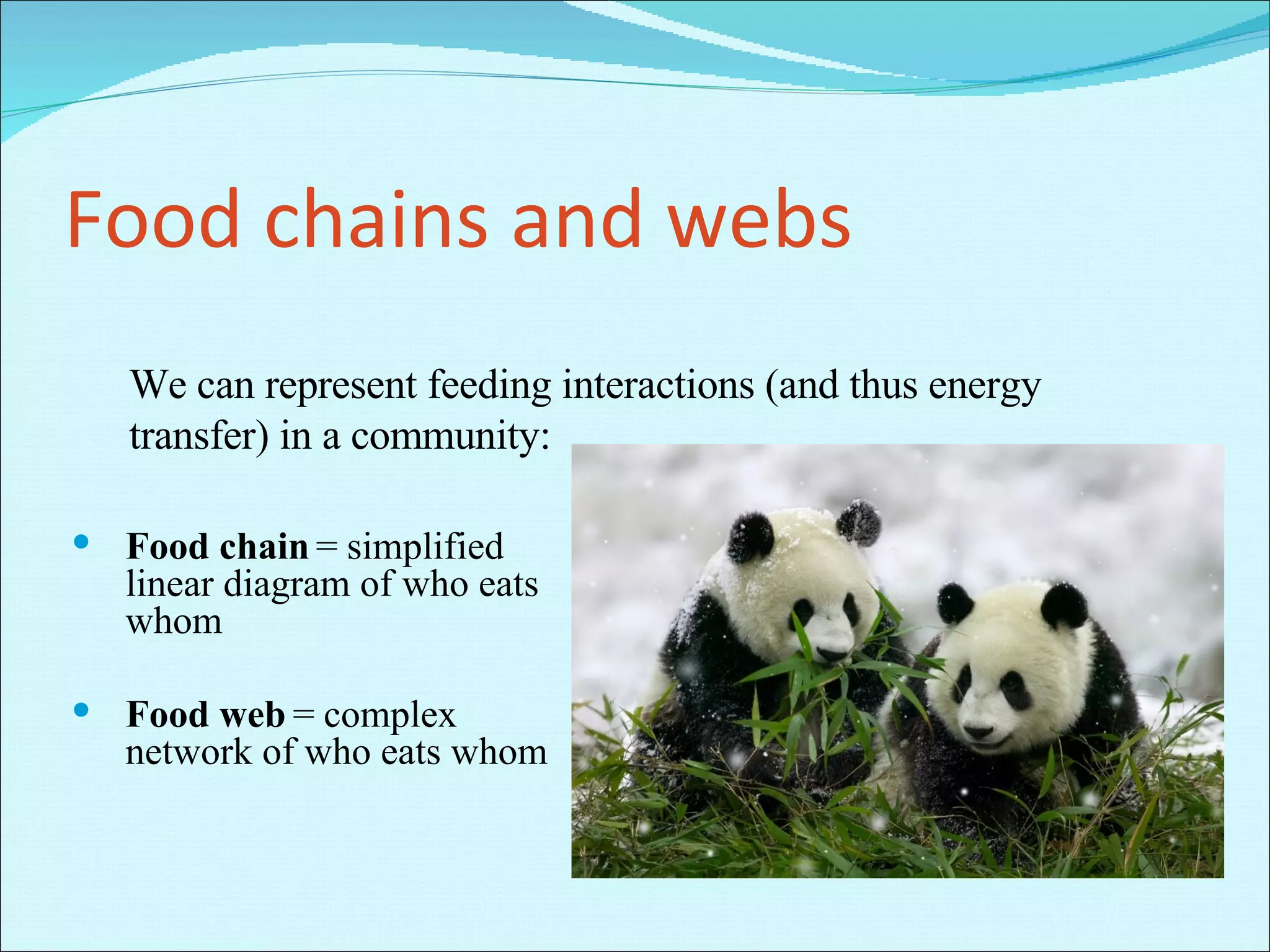 Food chains and webs Food chain  =   simplified linear diagram of who eats whom Food web  = complex network of who eats whom We can represent feeding interactions (and thus energy transfer) in a community: 