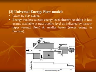Universal Energy Model Unit 2 ecosystem | PDF