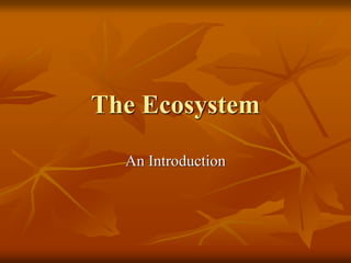 The Ecosystem
An Introduction
 