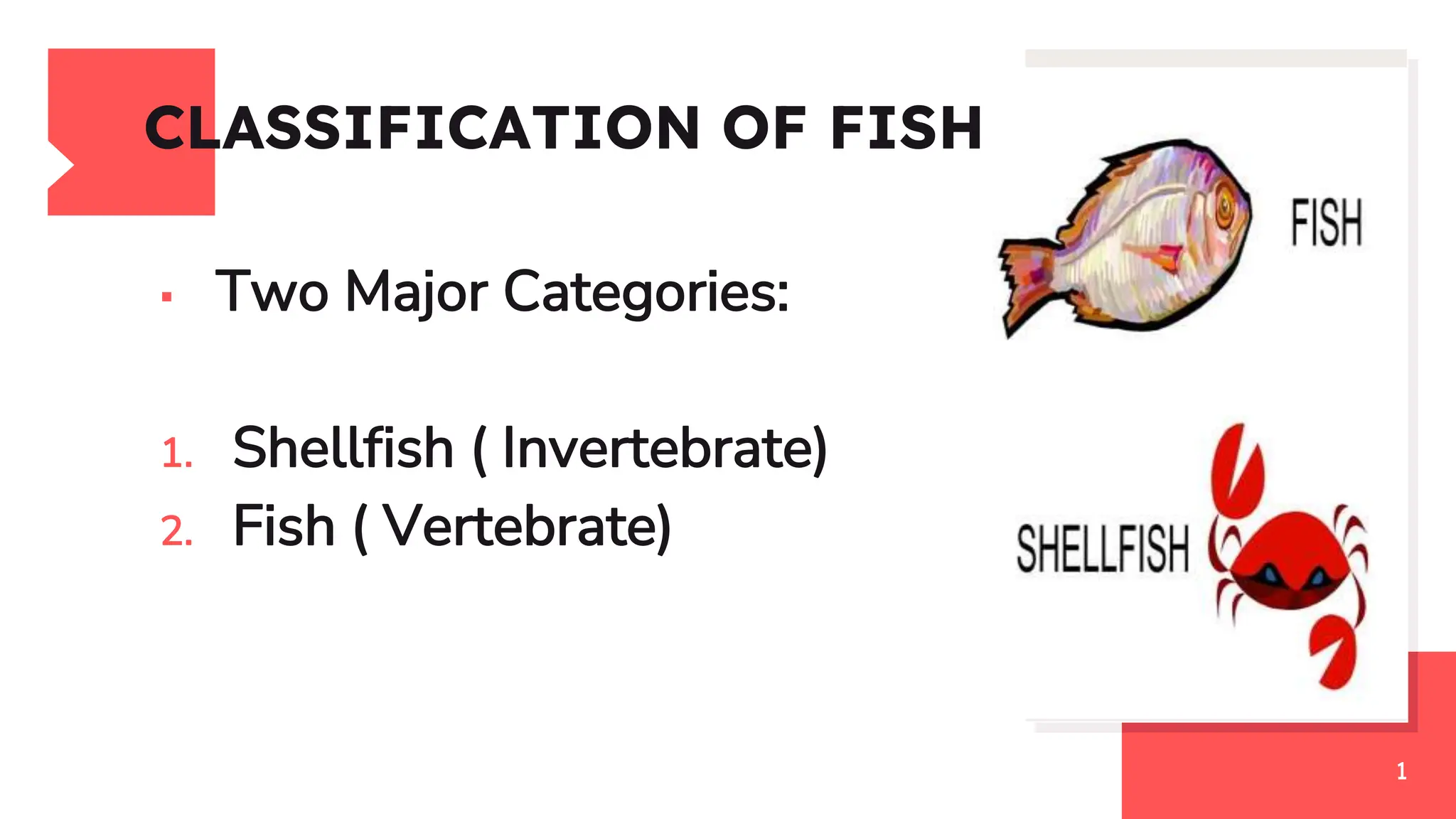 THE CLASSIFICATION AND MARKET FORMS OF FISH PPT