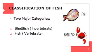 CLASSIFICATION OF FISH
▪ Two Major Categories:
1. Shellfish ( Invertebrate)
2. Fish ( Vertebrate)
1
 