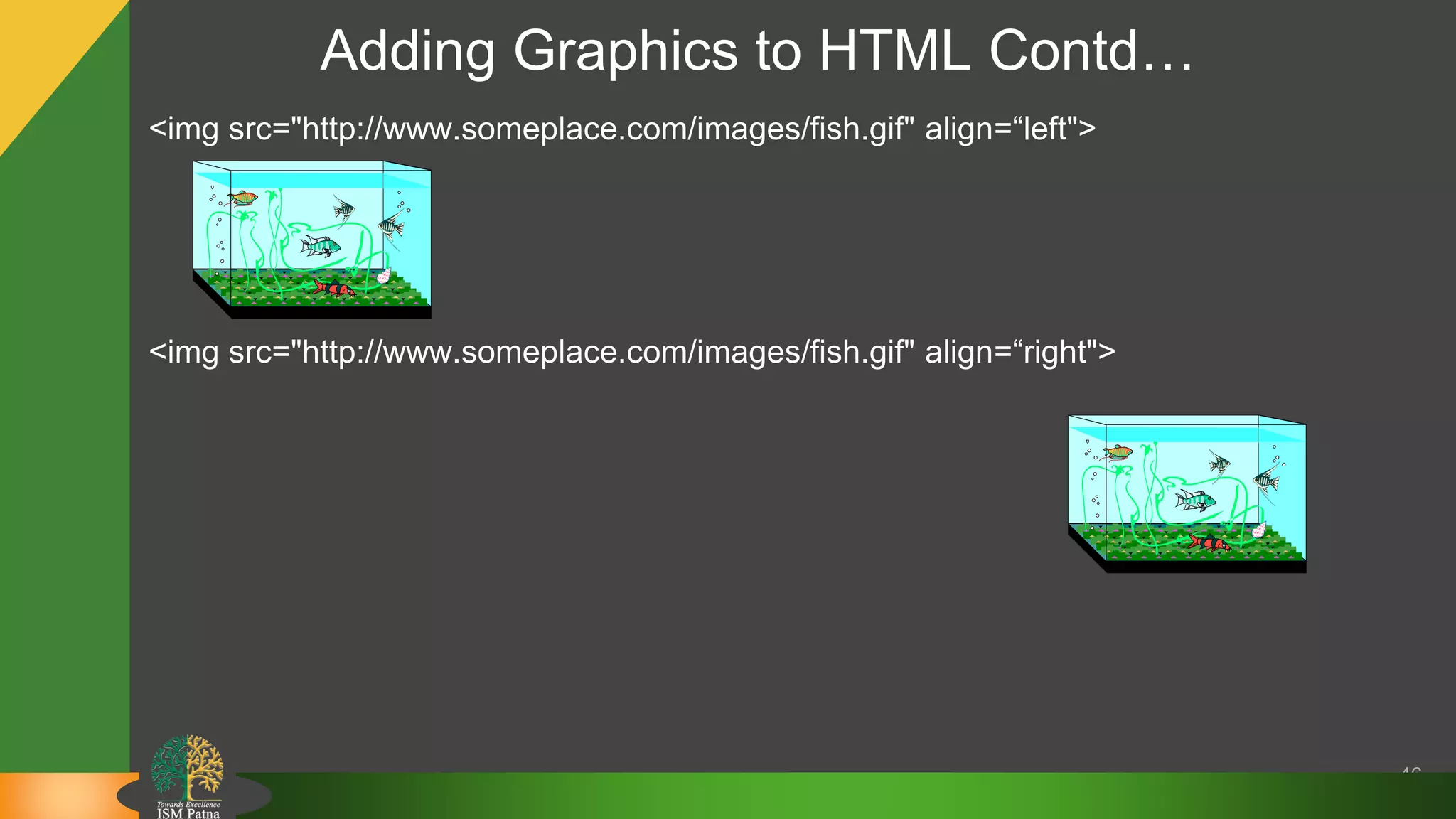 Adding Graphics to HTML Contd…
46
<img src="http://www.someplace.com/images/fish.gif" align=“left">
<img src="http://www.someplace.com/images/fish.gif" align=“right">
 