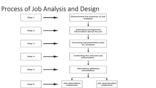 Process of Job Analysis and Design
 