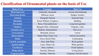 Classification of Ornamental plants on the basis of Use
Basis of Use Examples Main Use
Flowering trees Gulmohar, Jacaranda Avenue and landscape
Flowering shrubs Hibiscus, Ixora Hedges, borders
Annuals Marigold, Petunia Seasonal beds
Biennials Sweet William, Foxglove Bedding
Perennials Rose, Chrysanthemum Long-term gardens
Climbers Bougainvillea, Allamanda Pergolas, walls
Ground covers Wedelia, Alternanthera Soil cover
Lawn grasses Bermuda, Zoysia Lawns
Indoor plants Snake Plant, Peace Lily Interior decoration
Palms Areca, Royal Palm Landscaping
Cacti & succulents Aloe, Jade Plant Rock gardens
Aquatic plants Lotus, Water Lily Water gardens
Cut flowers Rose, Gerbera Floral industry
Hedge plants Duranta, Murraya Living fences
Fragrant plants Jasmine, Tuberose Fragrance and decoration
 
