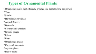 Types of Ornamental Plants
• Ornamental plants can be broadly grouped into the following categories:
Trees
Shrubs
Herbaceous perennials
Annual flowers
Biennials
Climbers and creepers
Ground covers
Palms
Ferns
Ornamental grasses
Cacti and succulents
Aquatic plants
Indoor plants
 