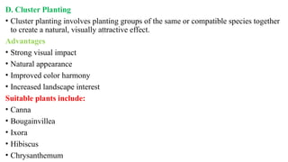 D. Cluster Planting
• Cluster planting involves planting groups of the same or compatible species together
to create a natural, visually attractive effect.
Advantages
• Strong visual impact
• Natural appearance
• Improved color harmony
• Increased landscape interest
Suitable plants include:
• Canna
• Bougainvillea
• Ixora
• Hibiscus
• Chrysanthemum
 
