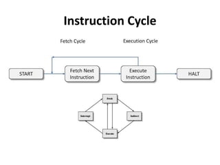 Instruction Cycle
 