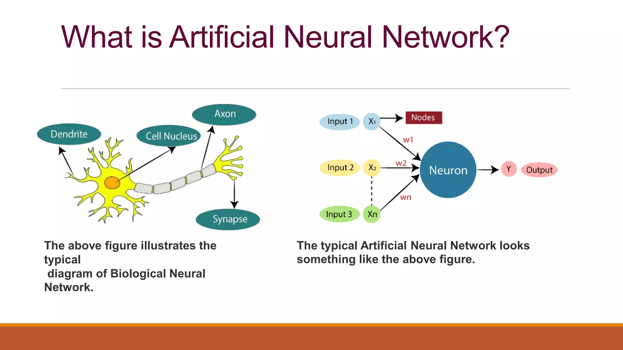 What is Artificial Neural Network?
The above figure illustrates the
typical
diagram of Biological Neural
Network.
The typical Artificial Neural Network looks
something like the above figure.
 