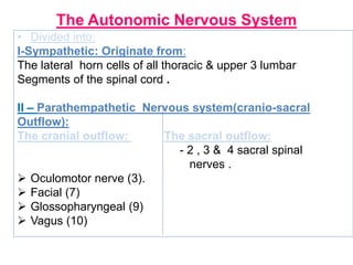 Lateral Outflow Unit 2 nervous system | PPTX