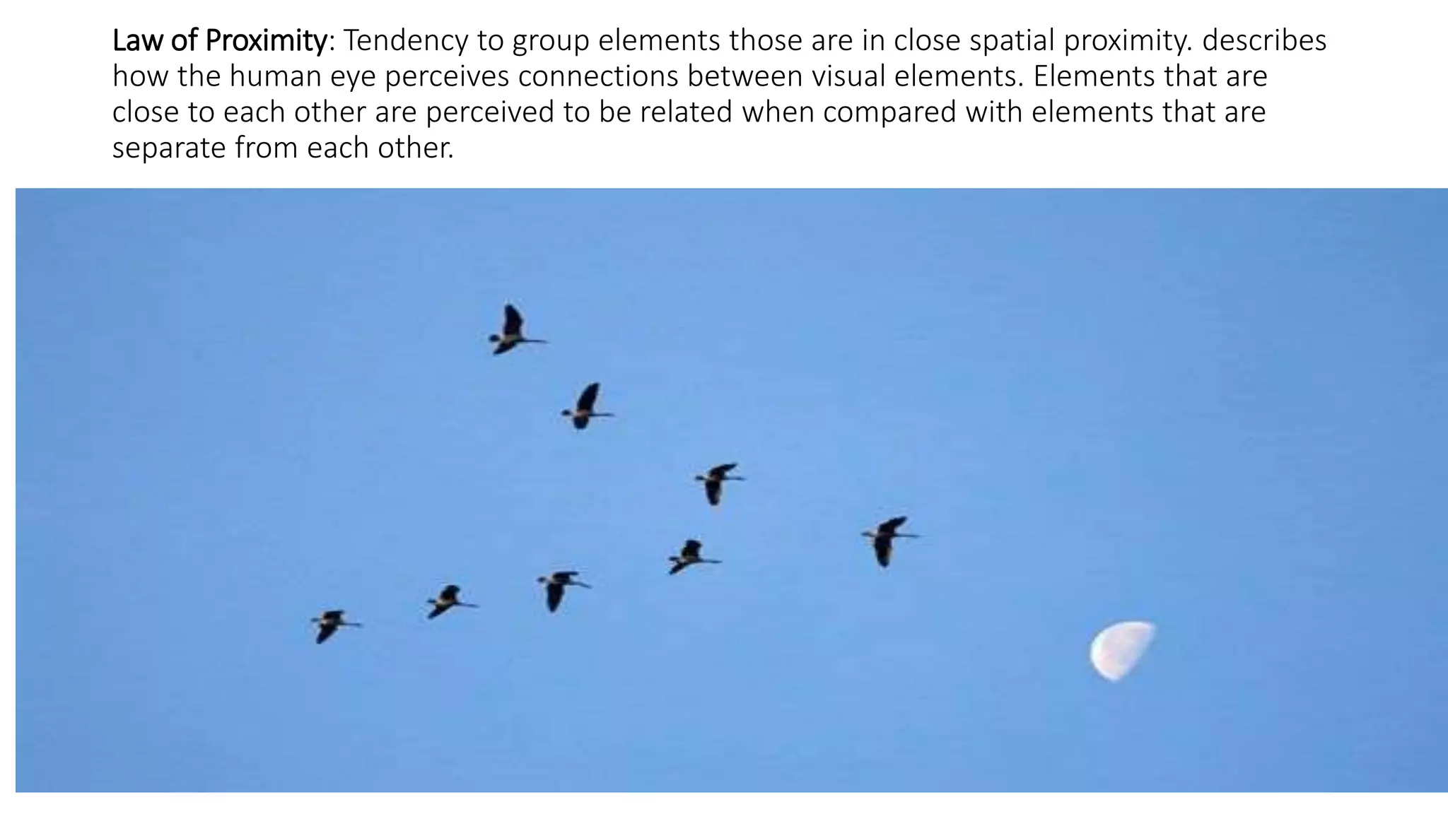 Law of Proximity: Tendency to group elements those are in close spatial proximity. describes
how the human eye perceives connections between visual elements. Elements that are
close to each other are perceived to be related when compared with elements that are
separate from each other.
 