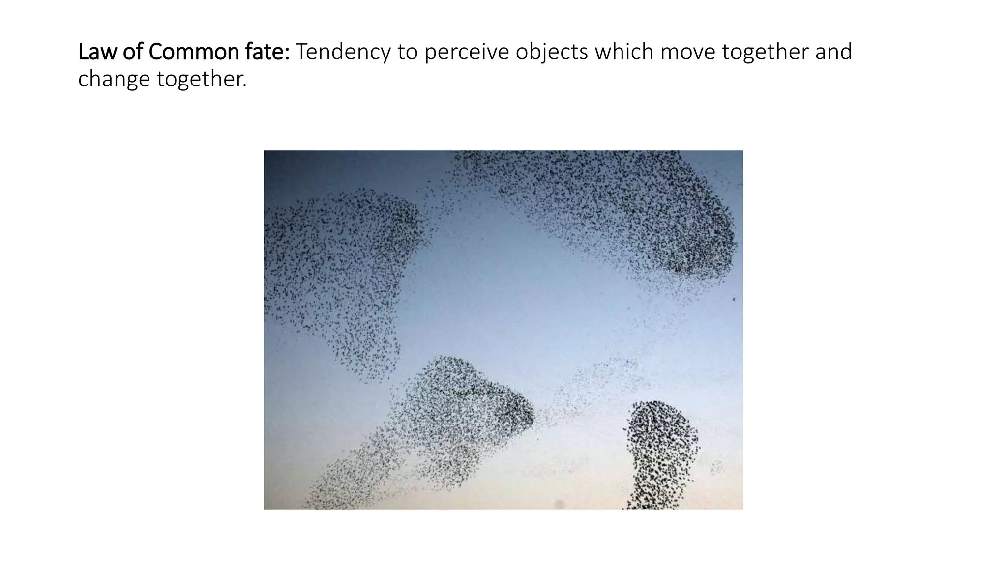 Law of Common fate: Tendency to perceive objects which move together and
change together.
 